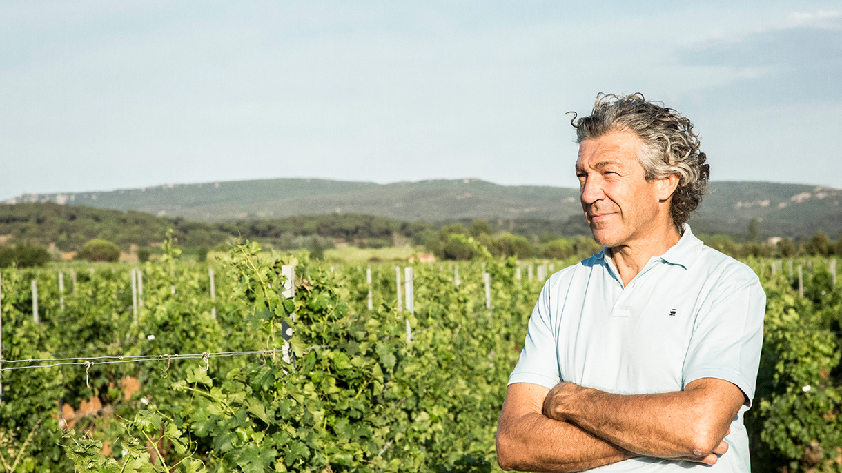 Arms crossed, Gerard Bertrand looks out over a sunny field of grapevines.